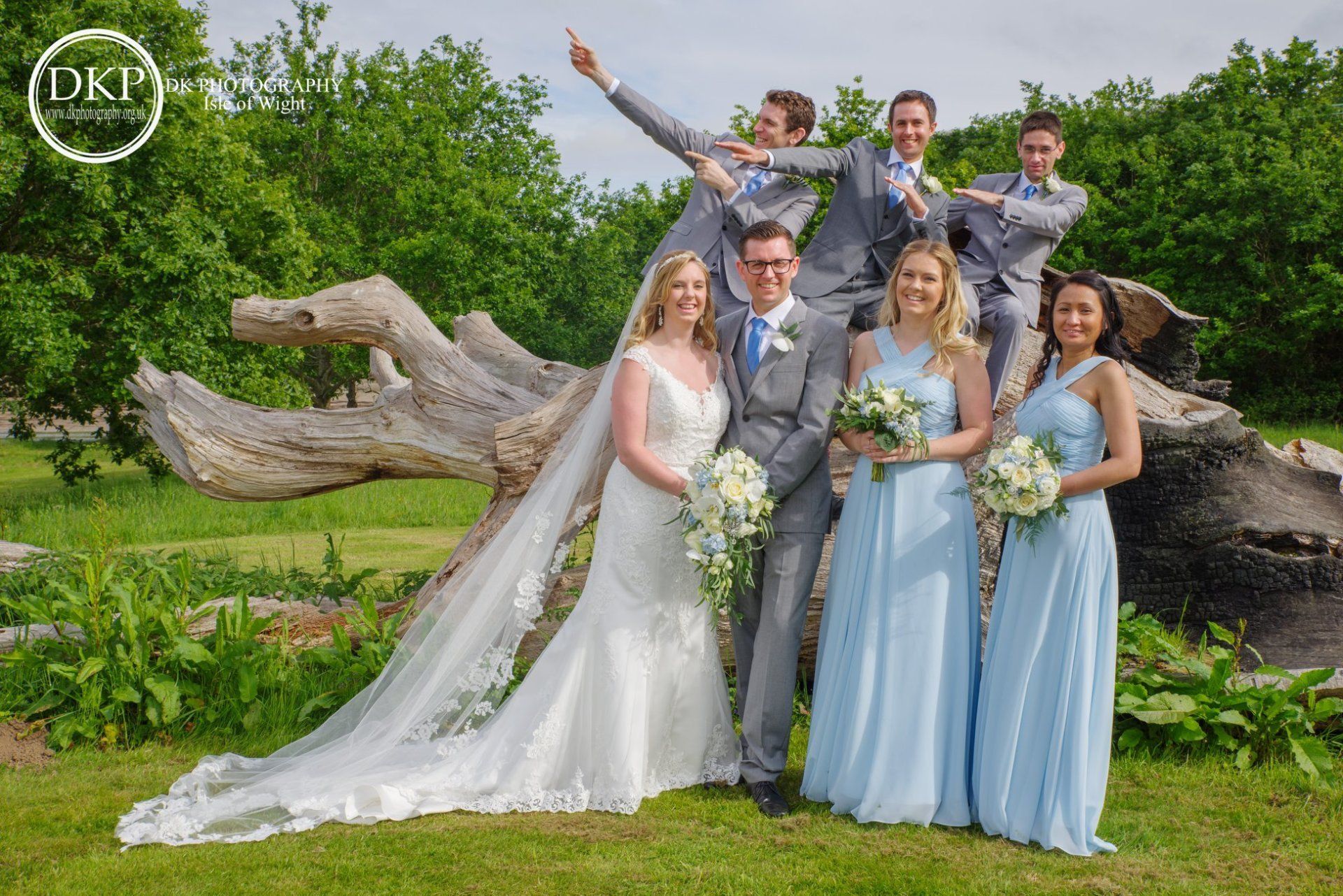 Bride and groom with wedding party posing on a log. Bridesmaids in blue. Groomsmen in gray.