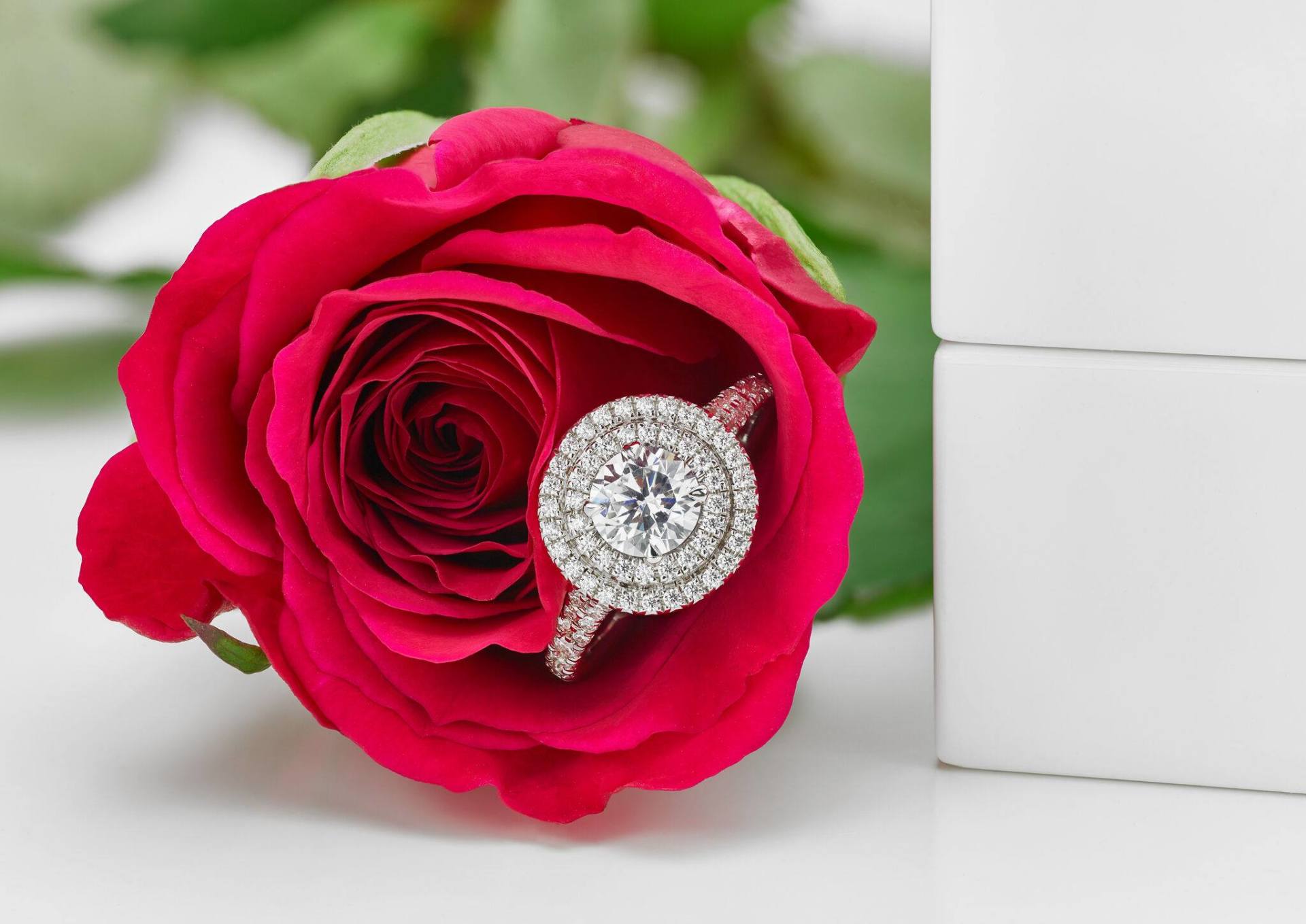 Diamond engagement ring set in a red rose, beside a white box.