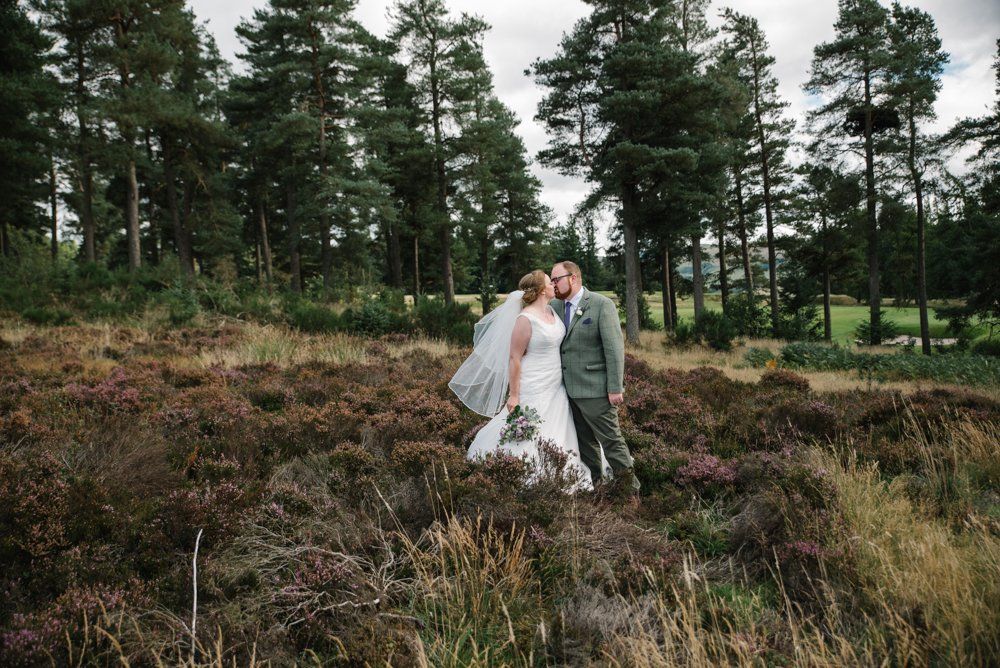 Bride and groom kiss in a field of heather with trees in the background. Wedding in nature, cloudy sky.