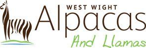 Logo of 