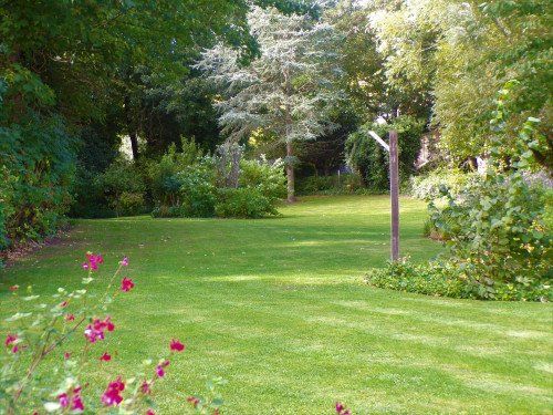 Green lawn with trees and pink flowers.