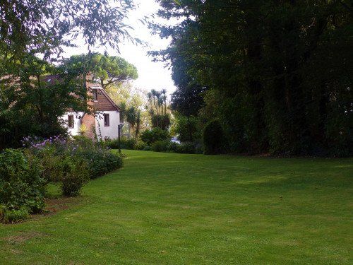 Lawn with garden and house in background, green grass, trees, and sunny day.