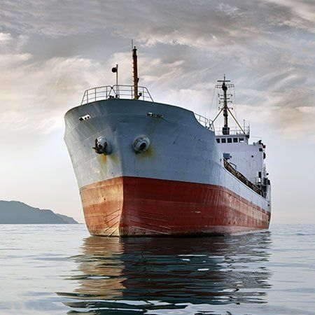 Marine refrigeration services in Nelson
