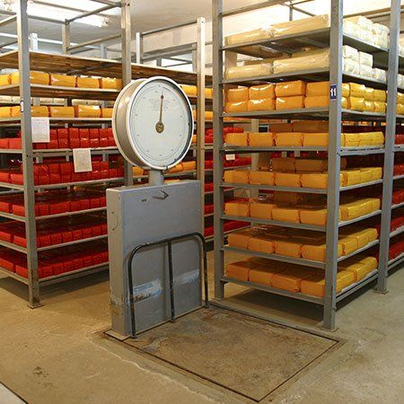 Freezer and chiller rooms in Nelson