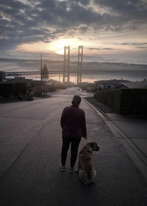 man with dog golden gate bridge