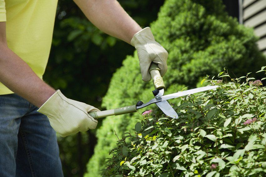 Gardening services