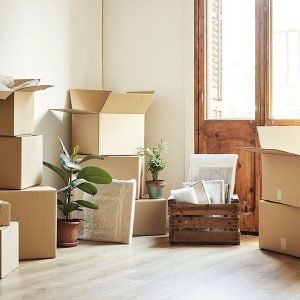 A room filled with lots of cardboard boxes and a wooden crate.