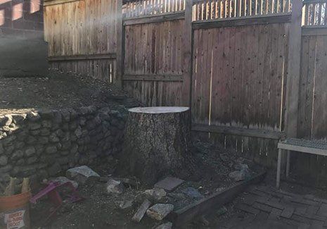 Stump — Salt Lake City, UT — Big City Tree Experts Stump — Salt Lake City, UT — Big City Tree Experts
