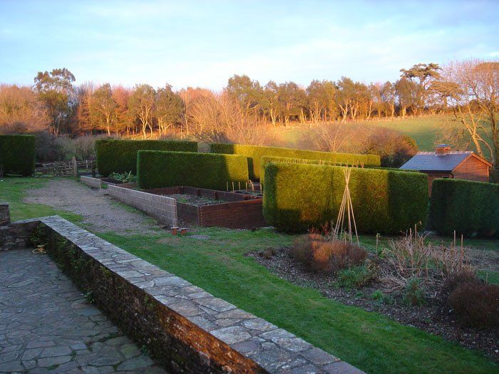 healthy garden