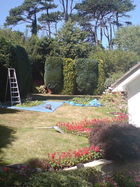 garden maintenance