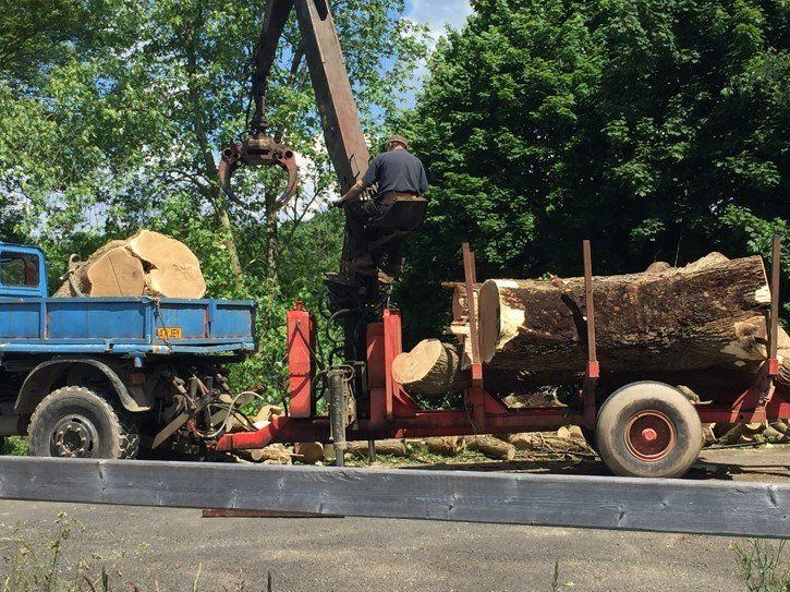 tree removals