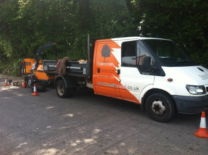 Trees In Need van