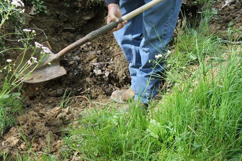 Boy Playing on Grasses — Mount Nebo, WV — Triple T Septic Service LLC Boy Playing on Grasses — Mount Nebo, WV — Triple T Septic Service LLC