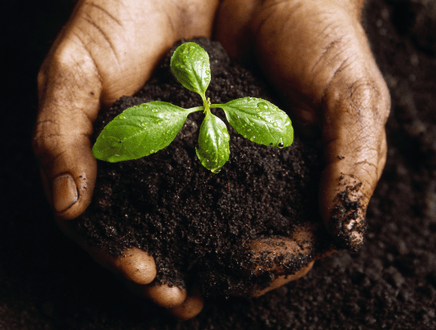 We offer you great quality landscape supplies for less