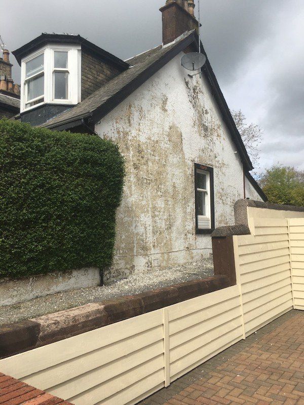 Wall coating in Dalry before
