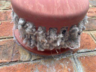 dryer vent, covered in dust