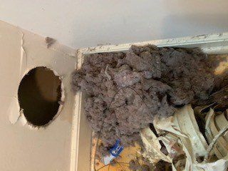 Dryer Vent with large pile of dust pulled out