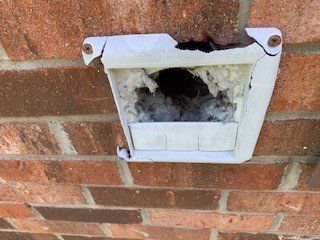 exterior of house dryer vent, opened and covered in dust