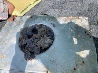 dryer vent stuffed with dust