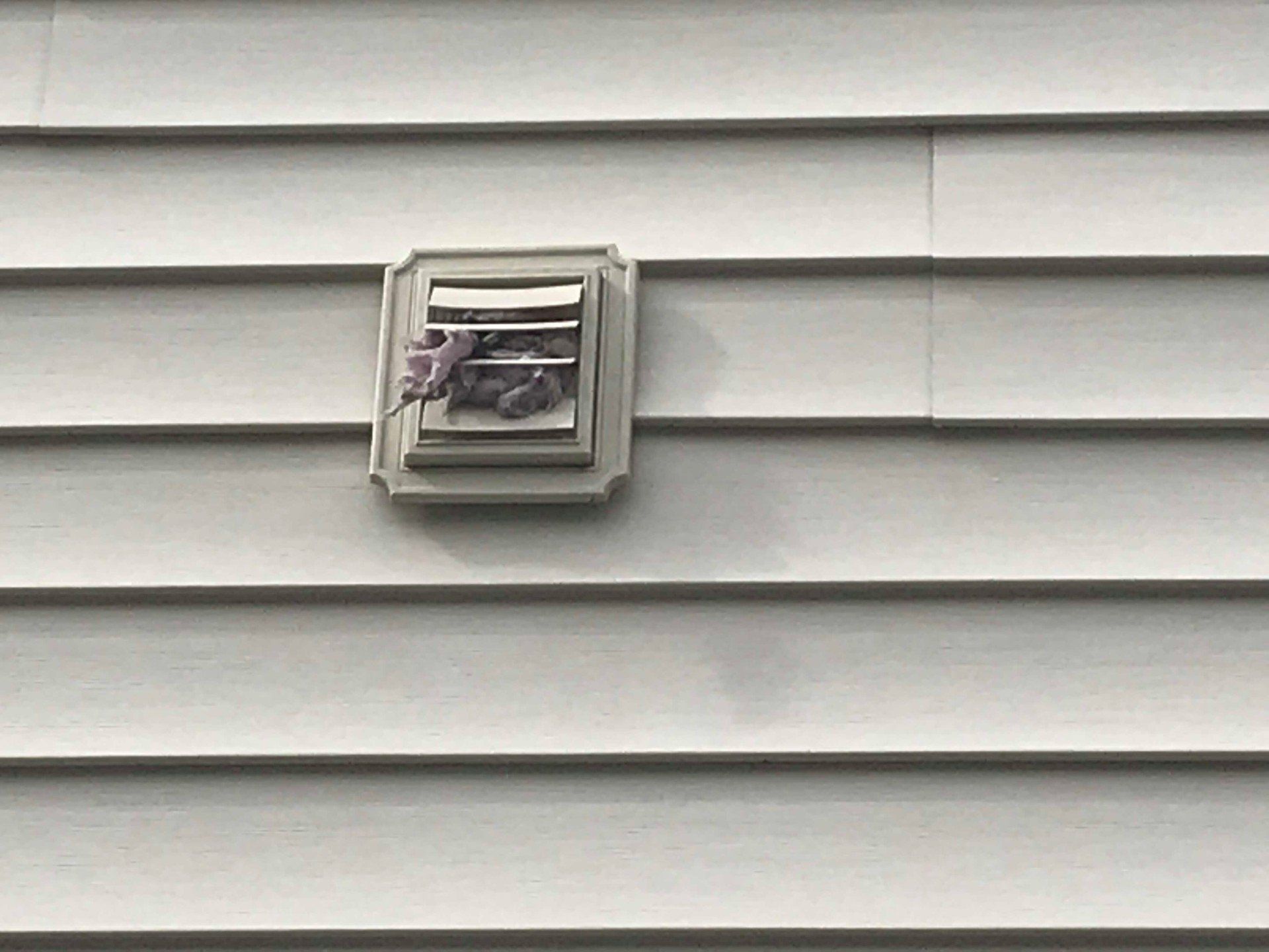 dryer vent on side of house exterior