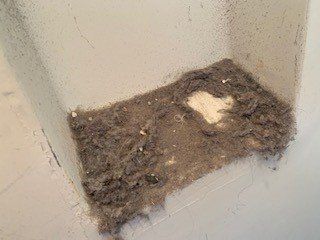 dryer vents dust in a pile on the floor