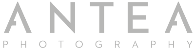 Antea Photography | Logo