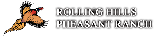 Pheasant hunting stock for sale WI, MI, IA, SD, ND