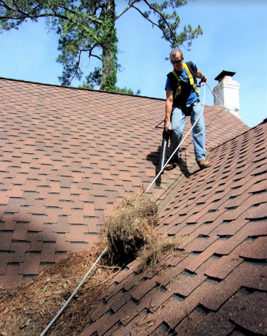 Gutter Cleaning / Roof Blow