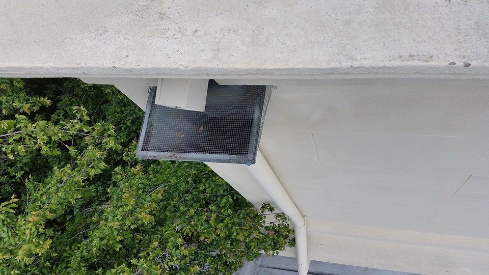 Gutter Cleaning