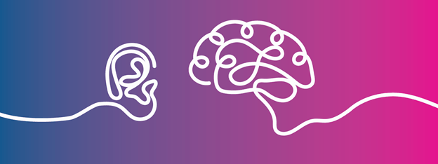 what is the brains role in hearing