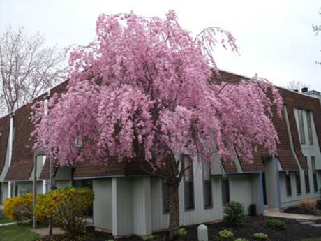 Outside Picture