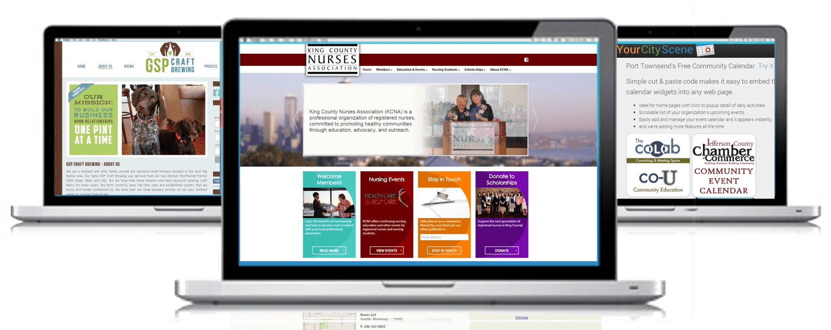 Three open laptops displaying different websites on white background