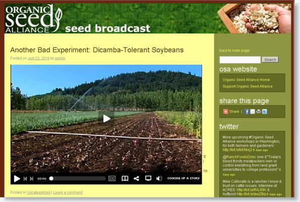 Webpage showing a video titled “Another Bad Experiment: Dicamba-Tolerant Soybeans” with a field scene thumbnail