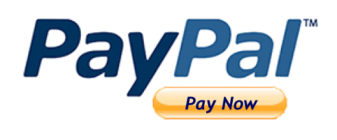 PayPal logo with orange “Pay Now” button