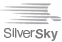 SilverSky logo in gray with horizontal streak lines on the left