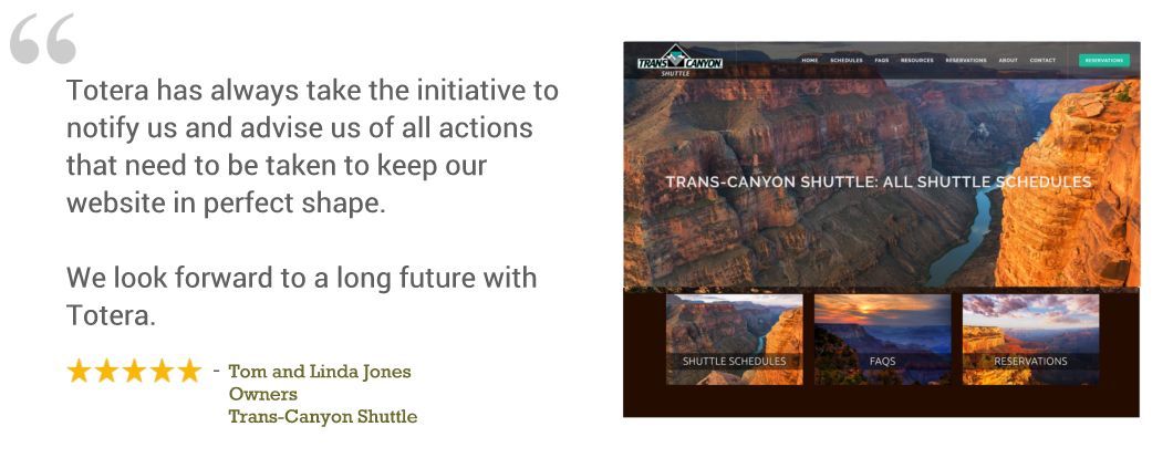 Testimonial graphic with five-star rating and a modern website preview on the right, orange canyon scene.