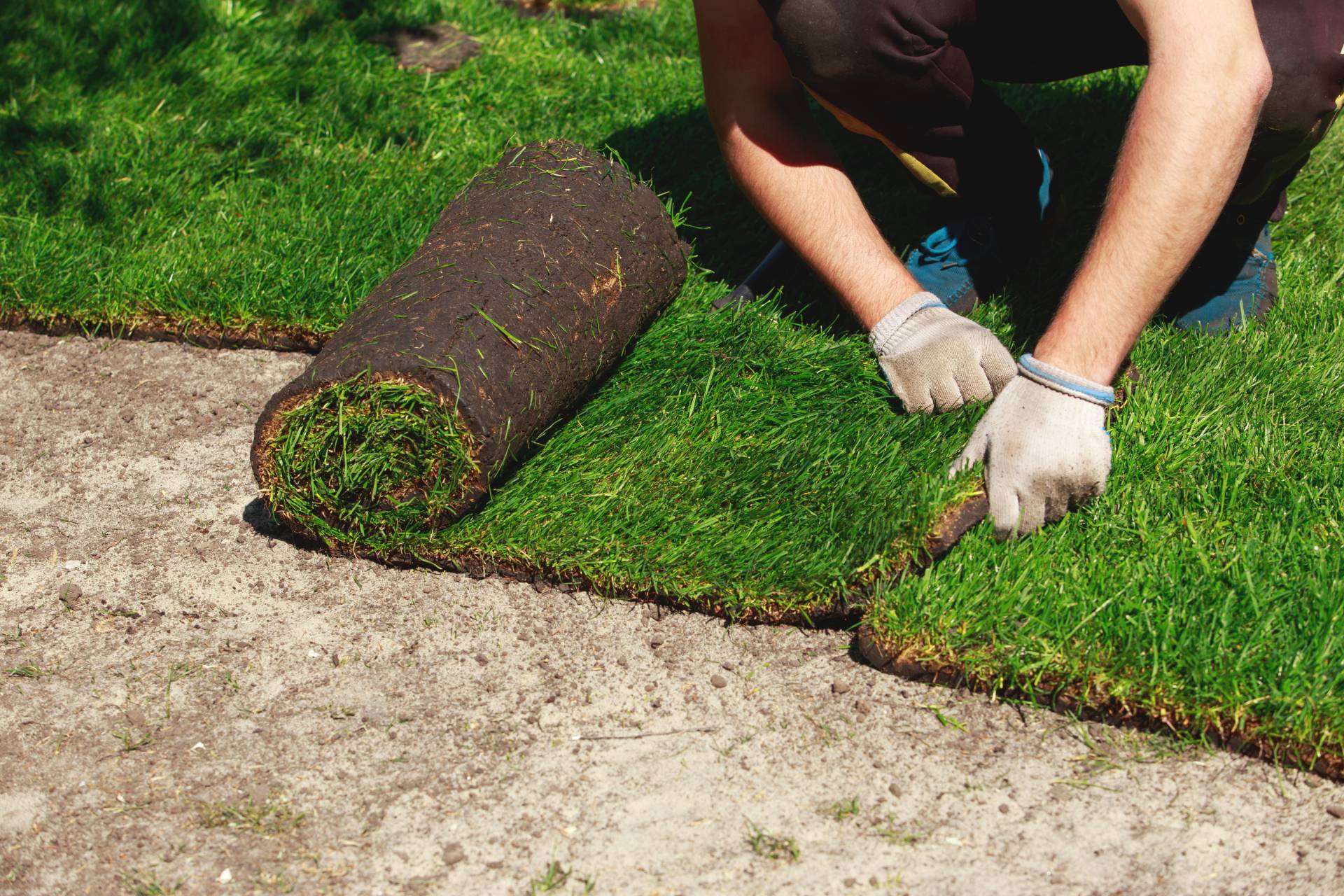 Seed & Sod