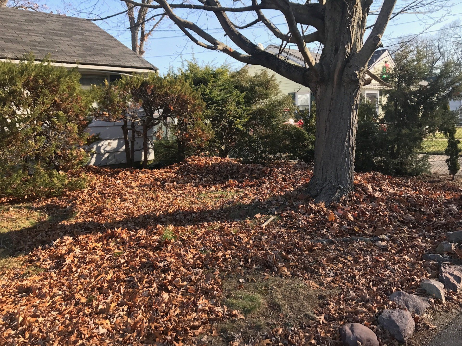 raking leaves fall clean up