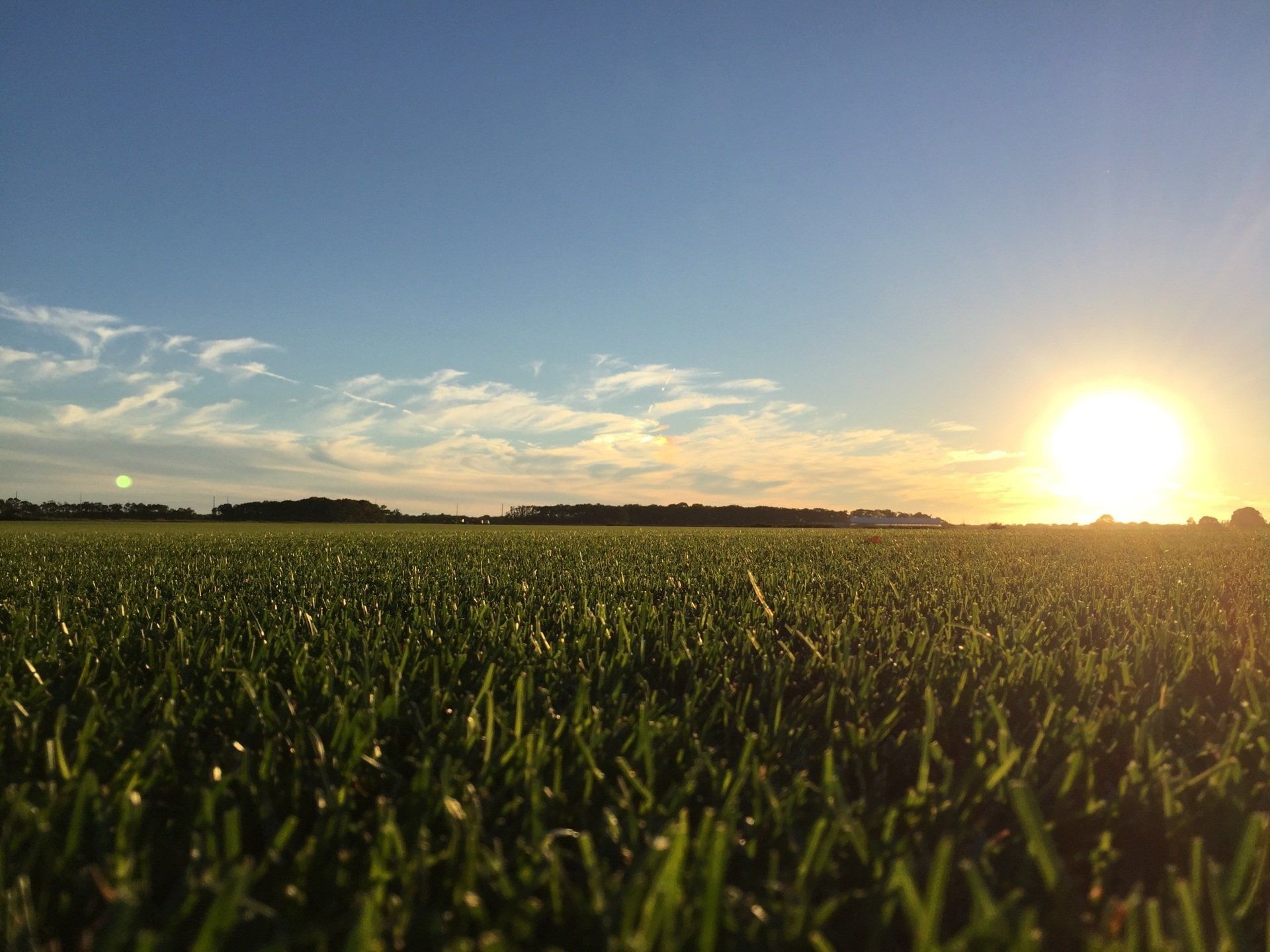 Sunrise in greenlawn—sod farming in Wading River, NY
