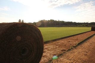 Field - Sod Farming in Calverton, NY