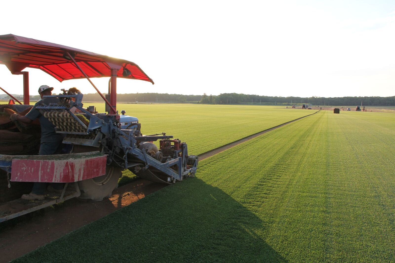 Optimized tractor puppers—sod farming in Wading River, NY