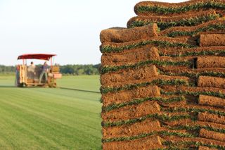 Sod rolls—sod farming in Wading River, NY