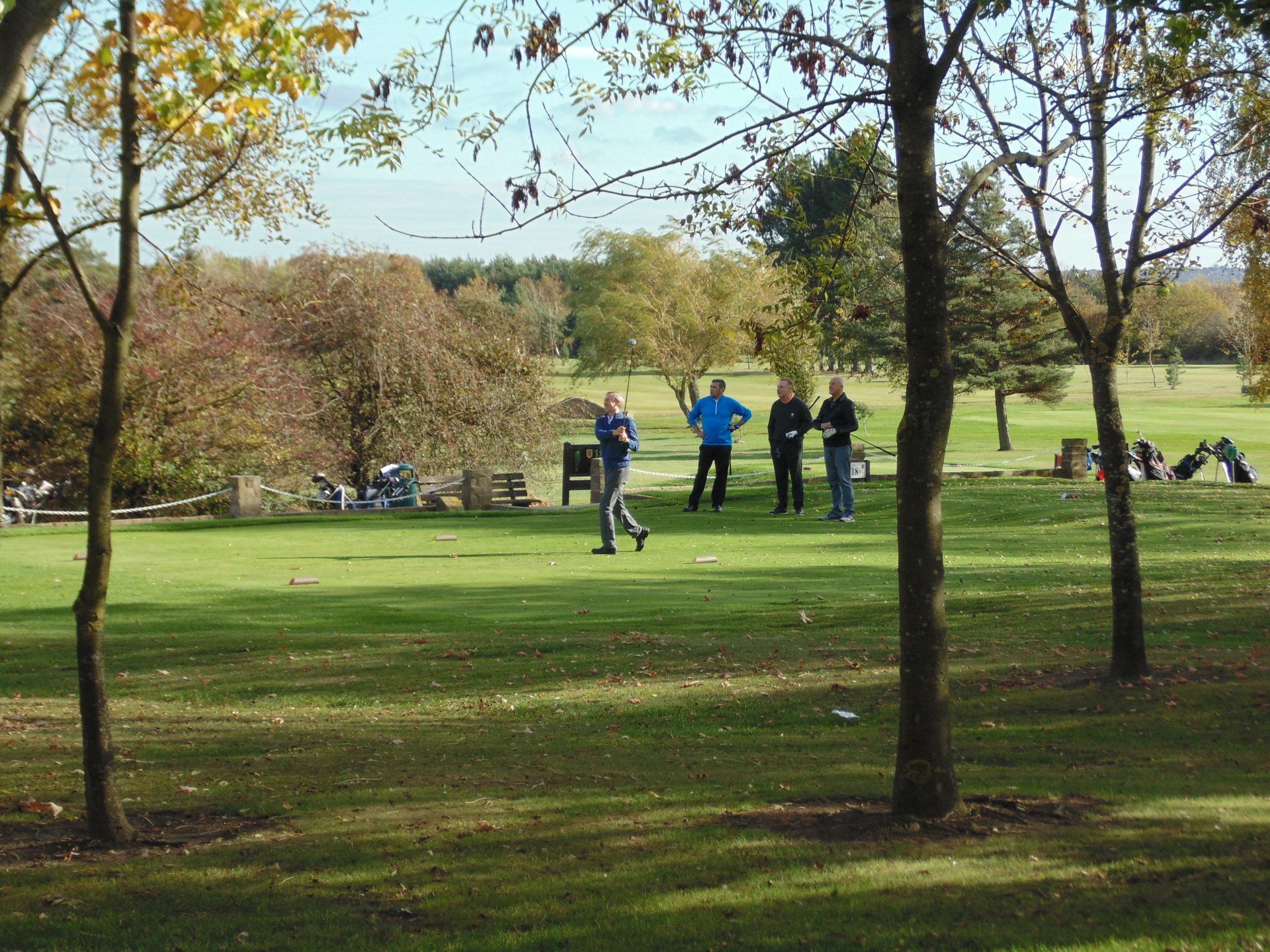A group of people standing in a park with trees in the foreground