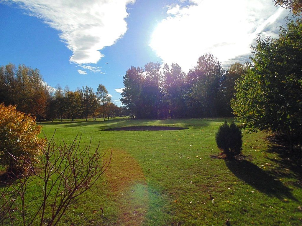 The sun is shining through the trees in a park