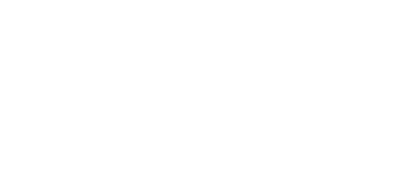 Rabl & Hahn Reference Project: Data Analytics for the BMW Group Rabl & Hahn, BMW Group, Digital Transformation
