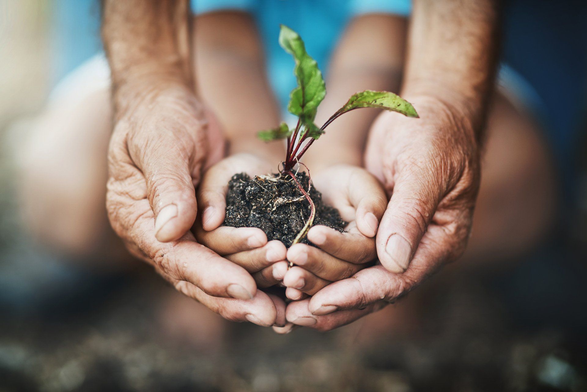 Rabl & Hahn, Change Consulting, Change Consulting München, Unternehmensberatung, business consulting, Unternehmensberatung München, Unternehmenskommunikation, Change management, Corporate Purpose, Purpose, Purpose Driven, Purpose Implementierung, Unternehmensgrafiken