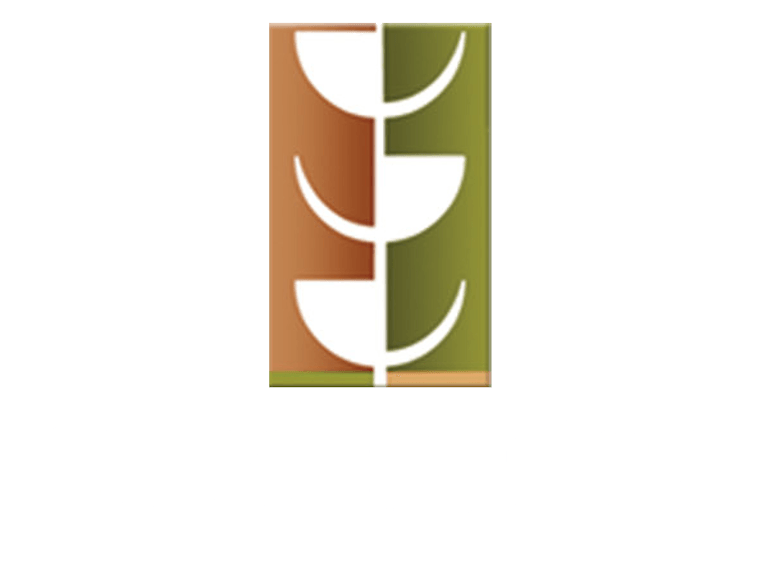1st Look Exteriors