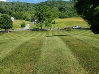 freshly mowed lawn
