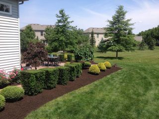 professional landscape