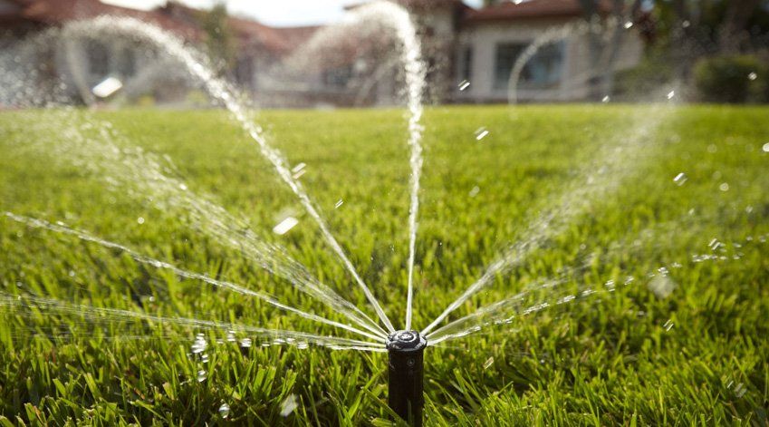 sprinkler head spraying water